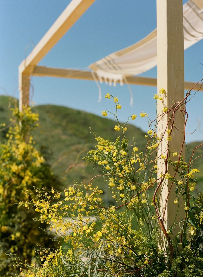 wooden chuppah