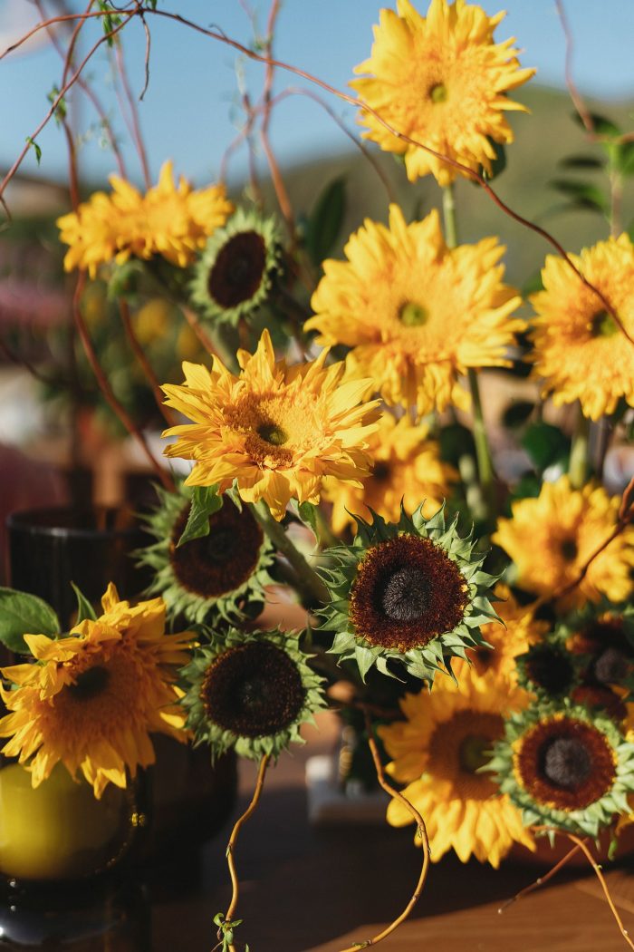 sunflowers